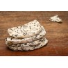 Organic & fairtrade dried white dragon fruit or pitaya from Colombia