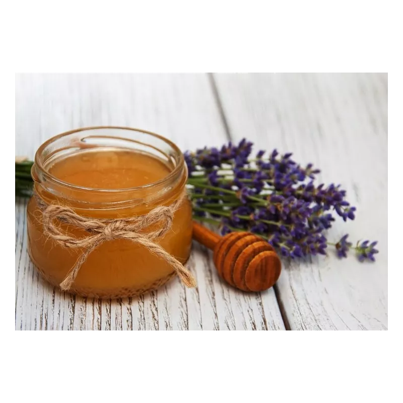 Pur Miel de Lavande IGP de Provence Label rouge - Direct producteur