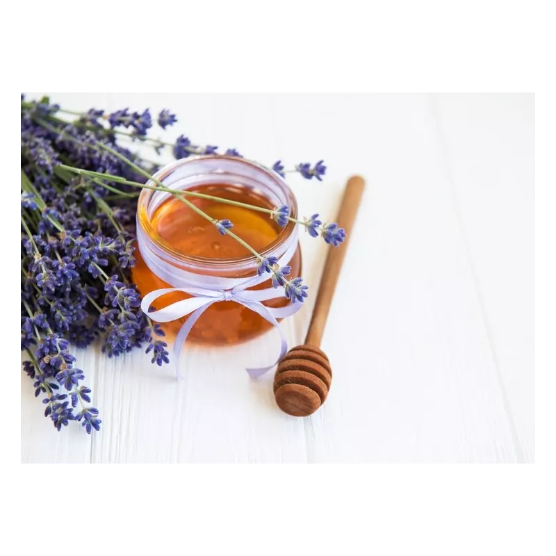 Pur Miel bio de Lavande IGP de Provence - Direct producteur
