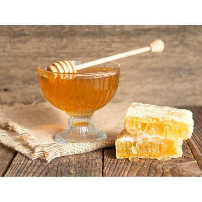 Pure Organic Cactus honey From Madagascar
