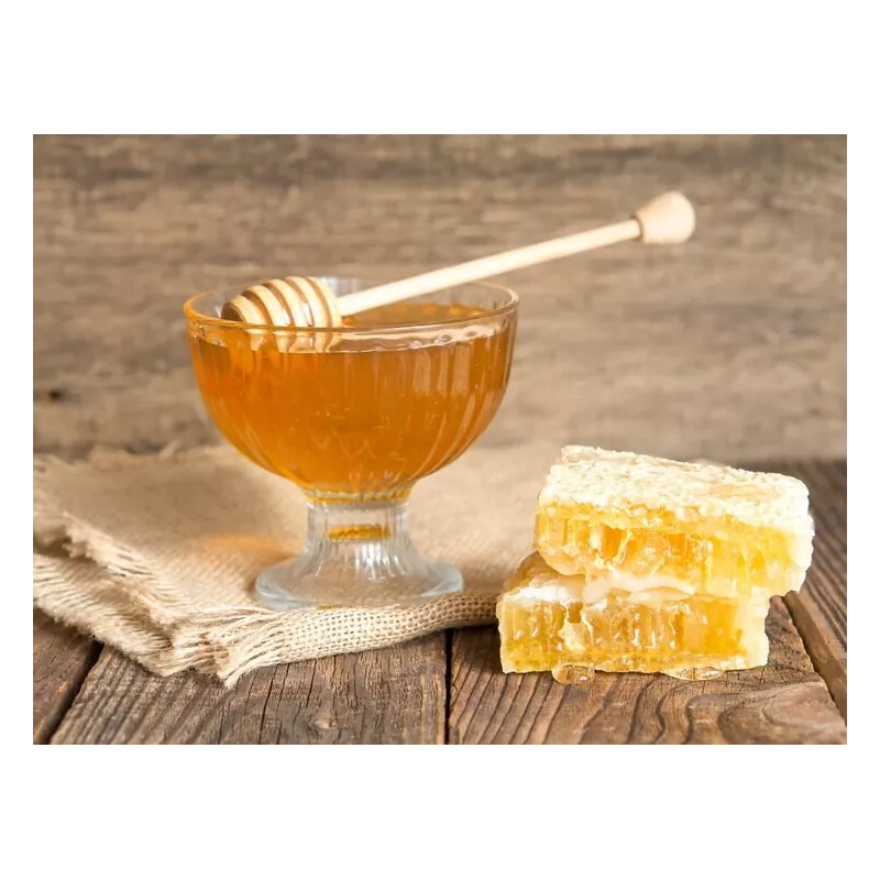Pure Organic Cactus honey From Madagascar