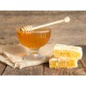 Pure Organic Cactus honey From Madagascar