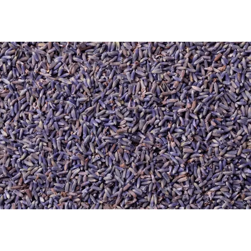 Fleurs de lavande fine bio séchée de Provence - Direct producteur
