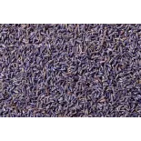 Fleurs de lavande fine bio séchée de Provence - Direct producteur