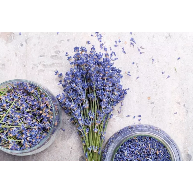 Fleurs de lavande fine bio séchée de Provence - Direct producteur