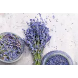 Fleurs de lavande fine bio séchée de Provence - Direct producteur