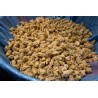Organic dried prickly pear flower from Morocco