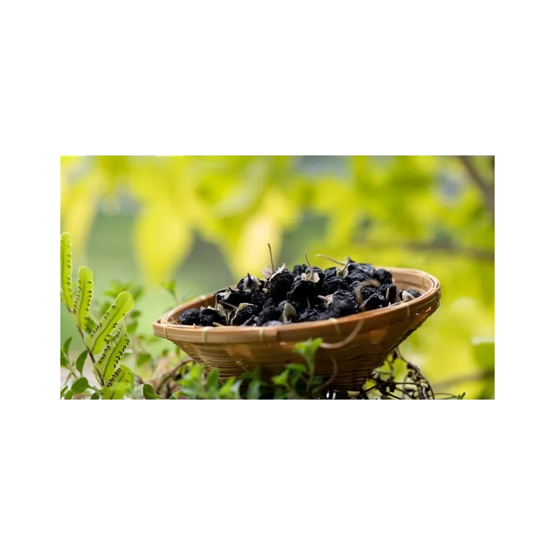 Baie de goji noire séchée du Tibet - Premium