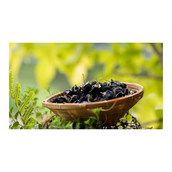 Dried black goji berry from Tibet - Premium