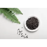 Baie de goji noire séchée du Tibet - Premium