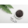 Dried black goji berry from Tibet - Premium