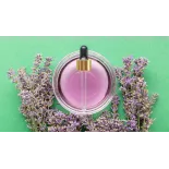 Eau de fleurs de lavande fine bio de Provence - Direct producteur