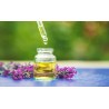 Essential oil of organic fine lavender flowers PDO from Provence - ...