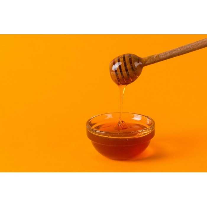 Pure Organic Fir Vanilla Honey PDO from Arcadia in Greece