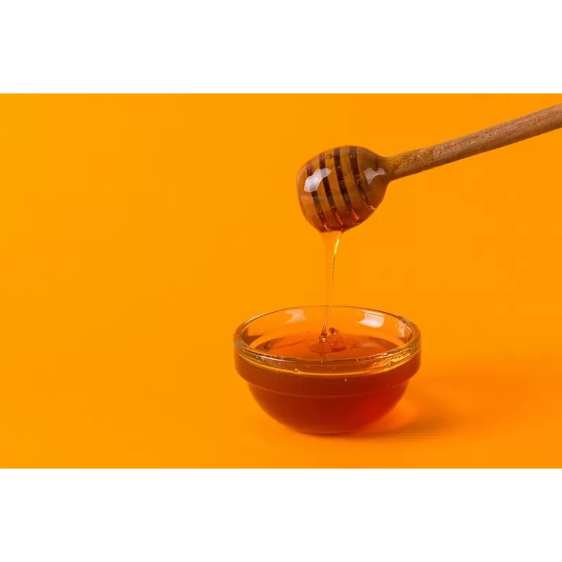 Pure Organic Fir Vanilla Honey PDO from Arcadia in Greece