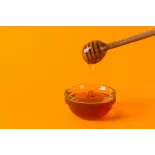 Pure Organic Fir Vanilla Honey PDO from Arcadia in Greece
