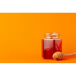 Pure Organic Fir Vanilla Honey PDO from Arcadia in Greece