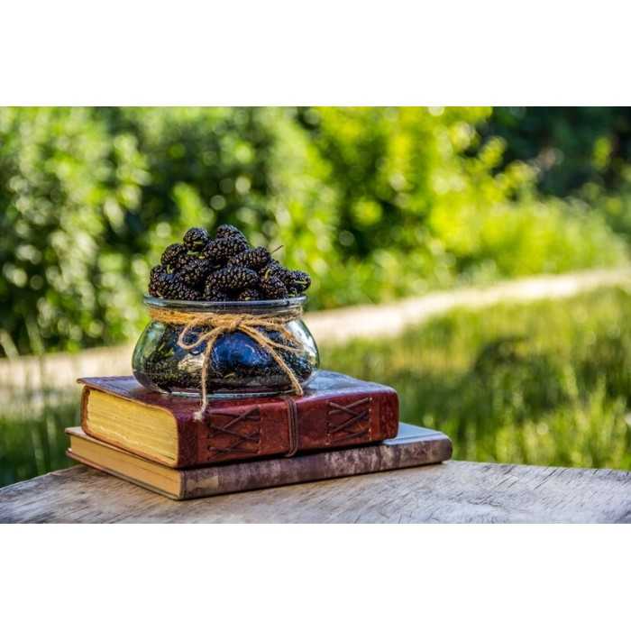 Organic & fair trade dried black mulberries from Uzbekistan