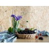 Organic & fair trade dried black mulberries from Uzbekistan