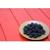 Organic & fair trade dried black mulberries from Uzbekistan