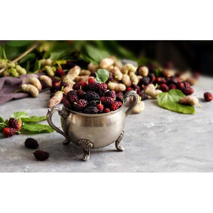 Organic & fair trade dried black mulberries from Uzbekistan