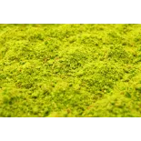 Organic & gluten free pistachio Flour PDO from Brontë in Sicily - D...