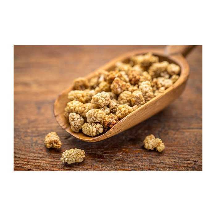 Organic & Fair Dried White Mulberries from Uzbekistan