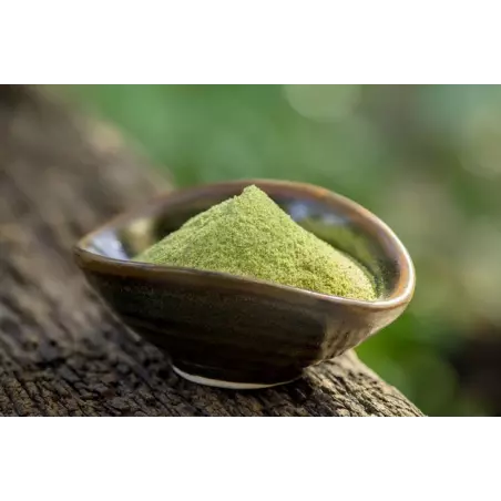 Farine de Graines de citrouille bio déshuilée & sans gluten d'Autriche