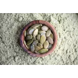 Organic & Gluten Free Deoiled Pumpkin Seed Flour from Austria