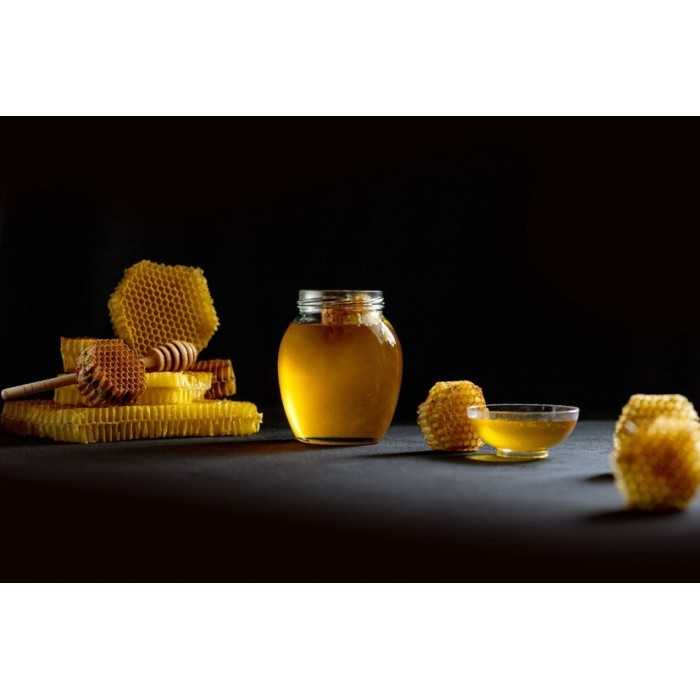 Pure Organic Honeydew Honey PDO from the Corsican maquis - Direct p...