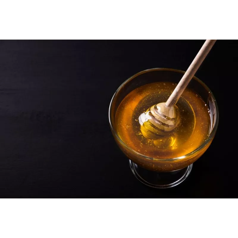 Pure Organic Honeydew Honey PDO from the Corsican maquis - Direct p...