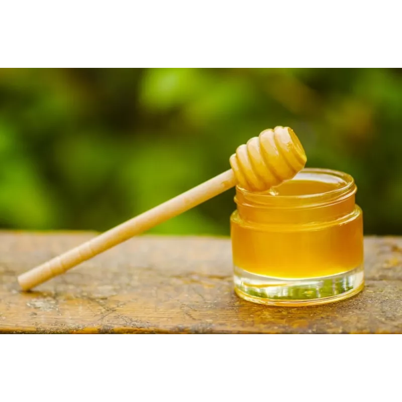 Pur Miel bio de Miellat AOP du maquis de Corse - Direct producteur