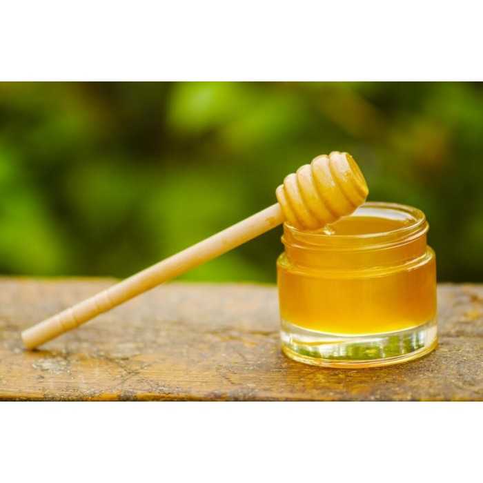 Pure Organic Honeydew Honey PDO from the Corsican maquis - Direct p...
