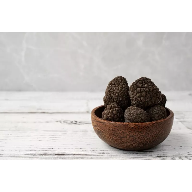 Lamelles de truffe noire du Périgord séchée - direct producteur