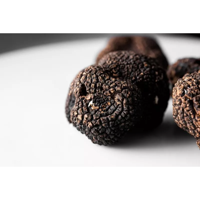 Lamelles de truffe noire du Périgord séchée - direct producteur