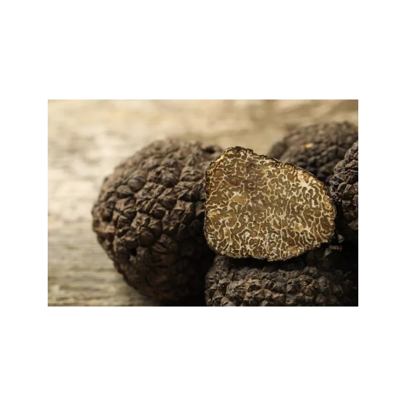 Lamelles de truffe noire du Périgord séchée - direct producteur