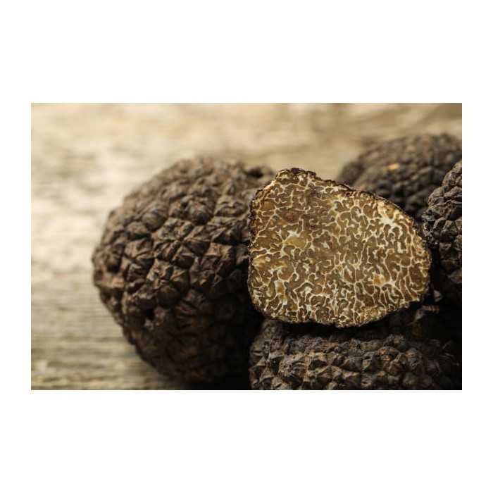 Slices of dried black truffle from Périgord - direct producer