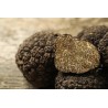 Slices of dried black truffle from Périgord - direct producer