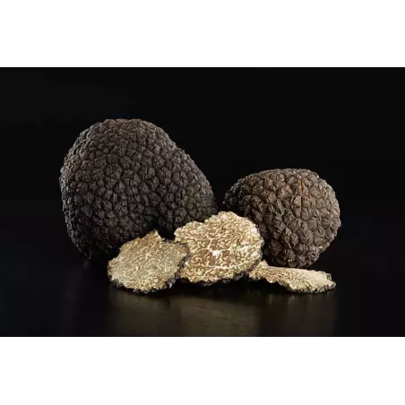 Slices of dried black truffle from Périgord - direct producer