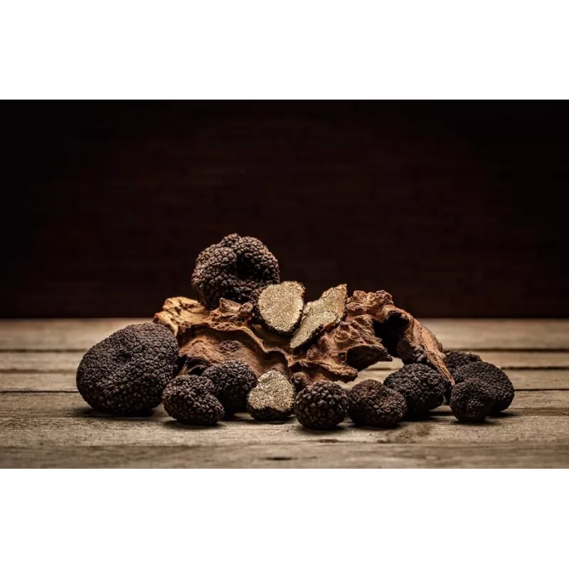 Lamelles de truffe noire du Périgord séchée - direct producteur
