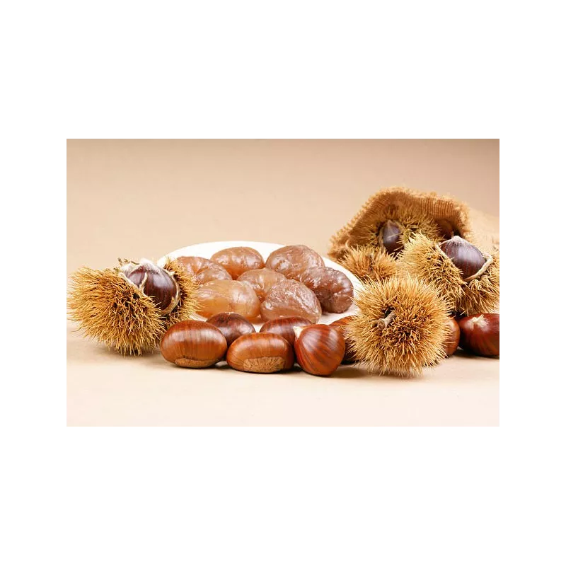 8 Marrons glacés entiers Bio AOP AOC d'Ardèche
