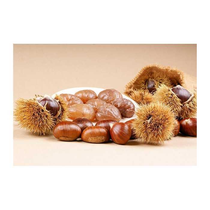 8 organic whole candied chestnuts PDO from Ardèche