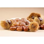 8 Marrons glacés entiers Bio AOP AOC d'Ardèche