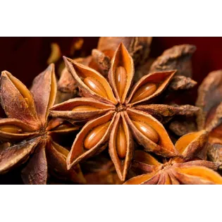 Organic & fairtrade whole star anise from Kampot - Direct producer