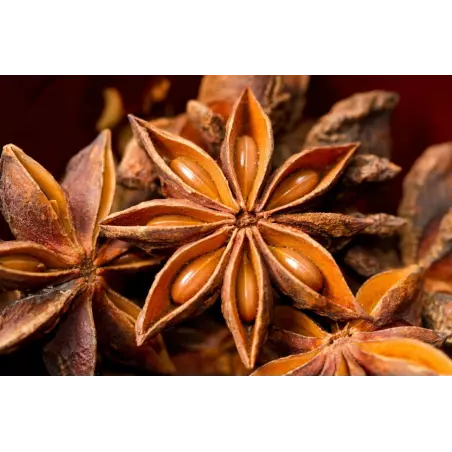 Organic & fairtrade whole star anise from Kampot - Direct producer