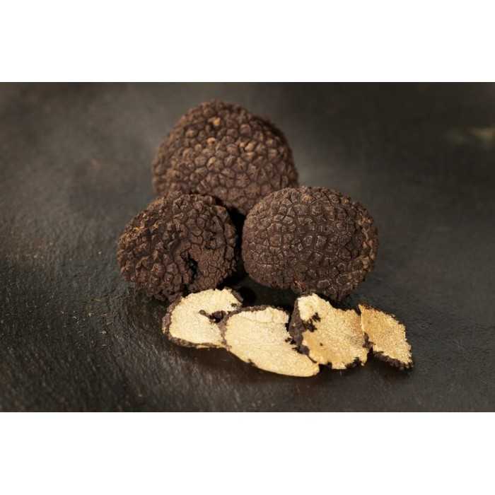 Slices of organic dried summer truffle from Italy - direct producer