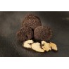 Lamelles de truffe bio d'été séchée d'Italie - direct producteur