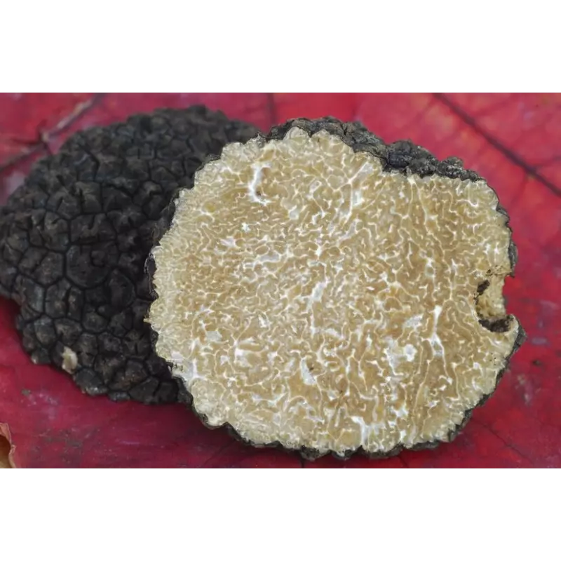 Slices of organic dried summer truffle from Italy - direct producer