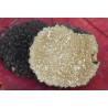 Slices of organic dried summer truffle from Italy - direct producer
