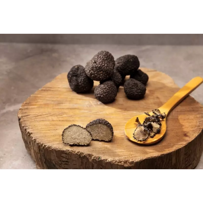 Slices of organic dried summer truffle from Italy - direct producer